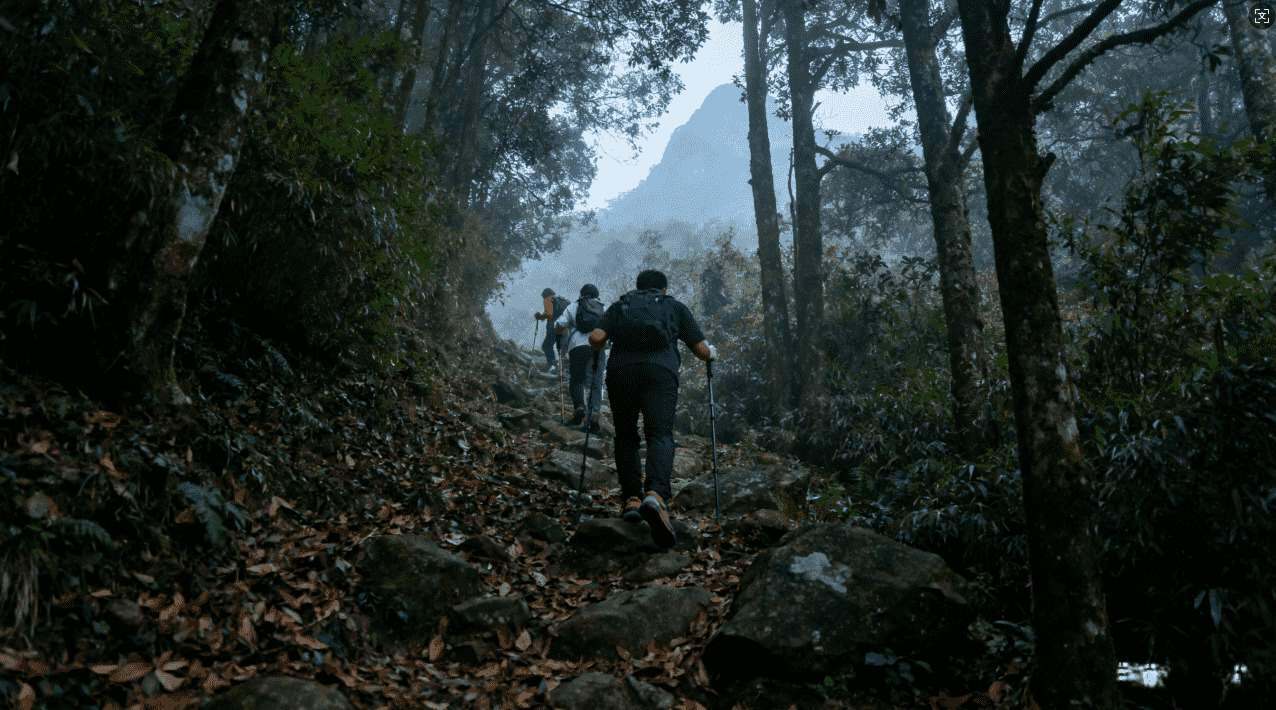 如何获取坚果加速器推荐码快速加速网络